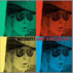 The Waterboys